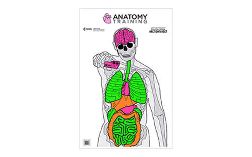 Targets Action Target Anatomy Training Target ACTION TGT ANATOMY TRNG 100PK • Model: Anatomy Training Target